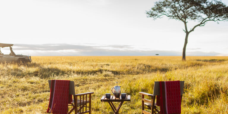 Bush picnic, Masai Mara