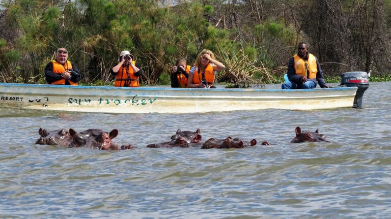 Boat safari on Lake Naivasha