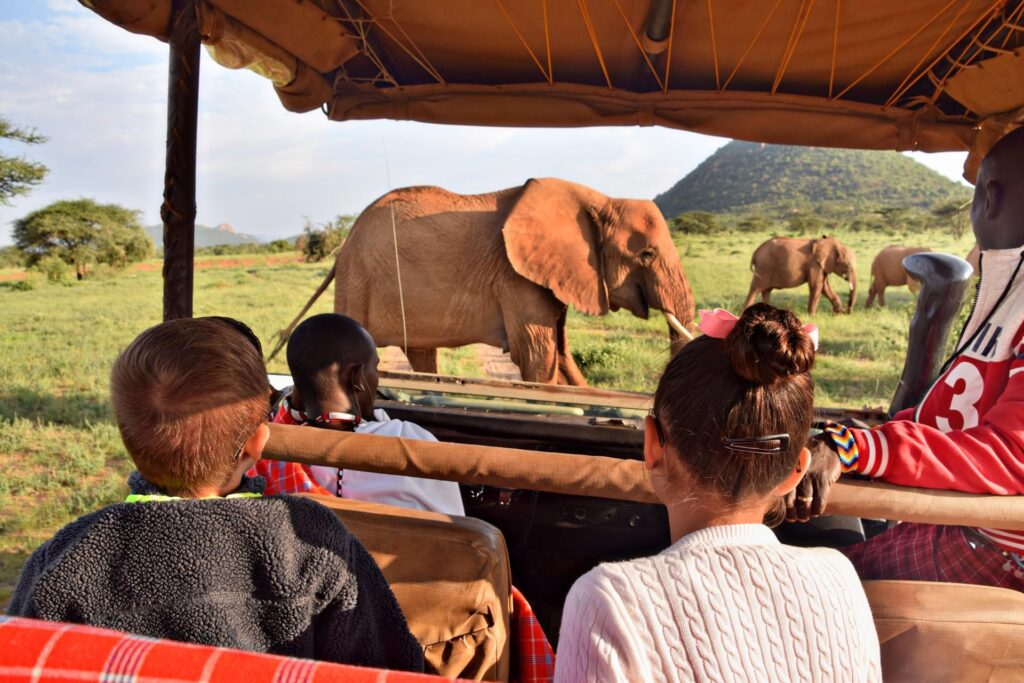 Family game drive in the Masai Mara National Reserve