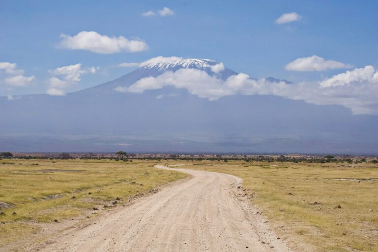 Mount Kilimanjaro seen from Amboseli
