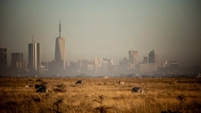 Zebra in Nairobi National Park with the city behind