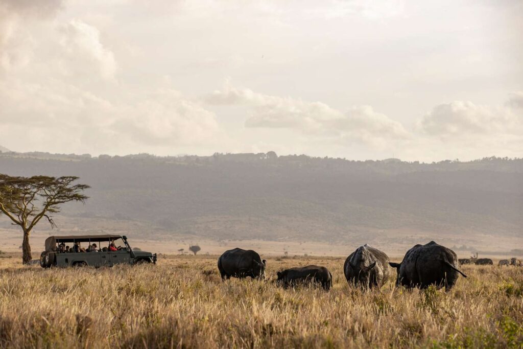 Road safari from Nairobi