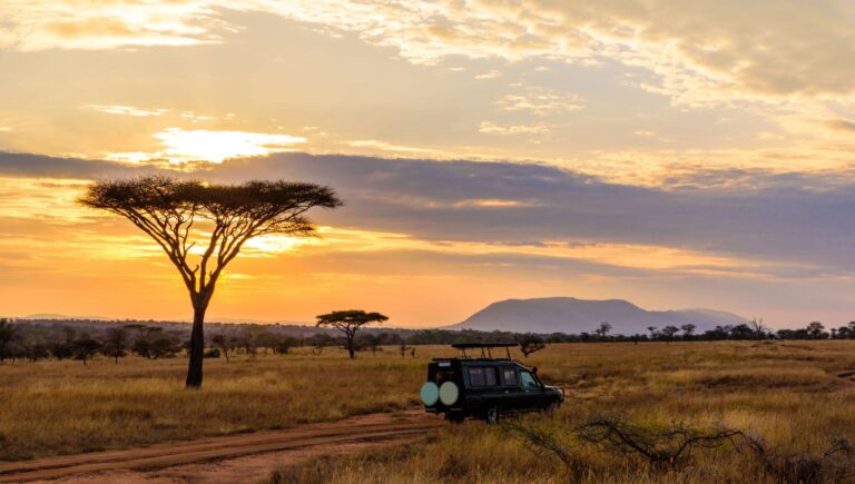 Sunset game drive at Serengeti
