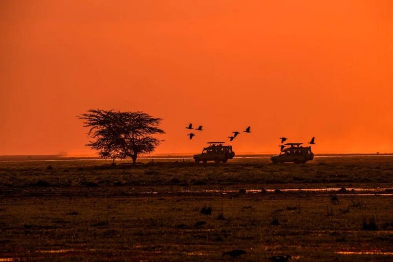 Sunset in Amboseli National Park