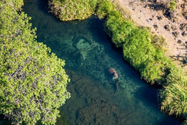 Mzima Springs, Tsavo West