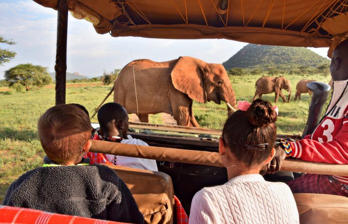 Family game drive in Maasai Mara National Reserve