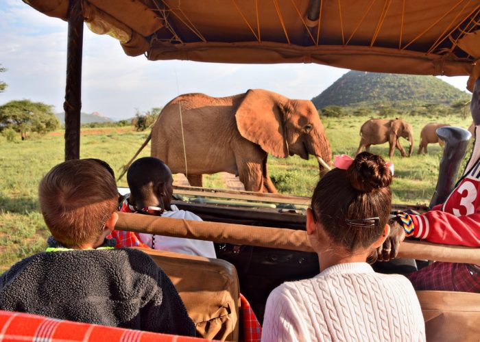 Family game drive in Maasai Mara National Reserve