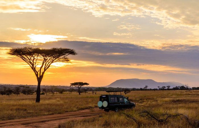 Sunset game drive at Serengeti