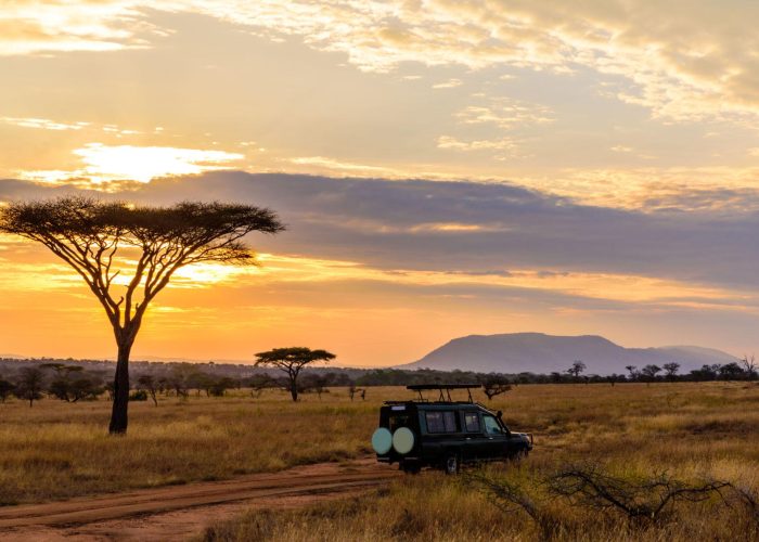 Sunset game drive at Serengeti